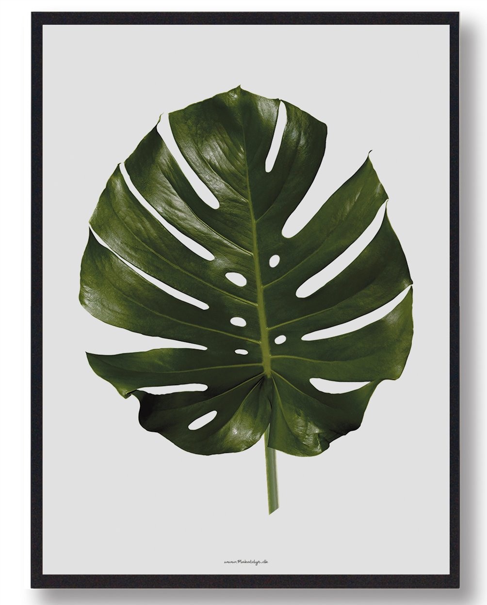 Palmeblad Naturplakat 30x40 cm – Pift dit hjem op!