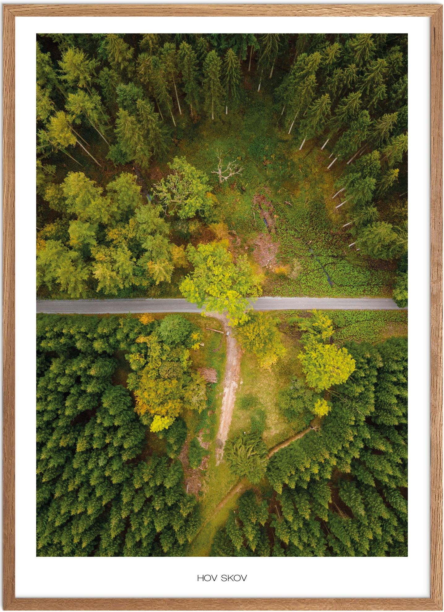 Plakat Hov Skov   Naturplakat   Recommended Products  Seguno    Plakat   Plakatsnedkeren   Drone-plakater