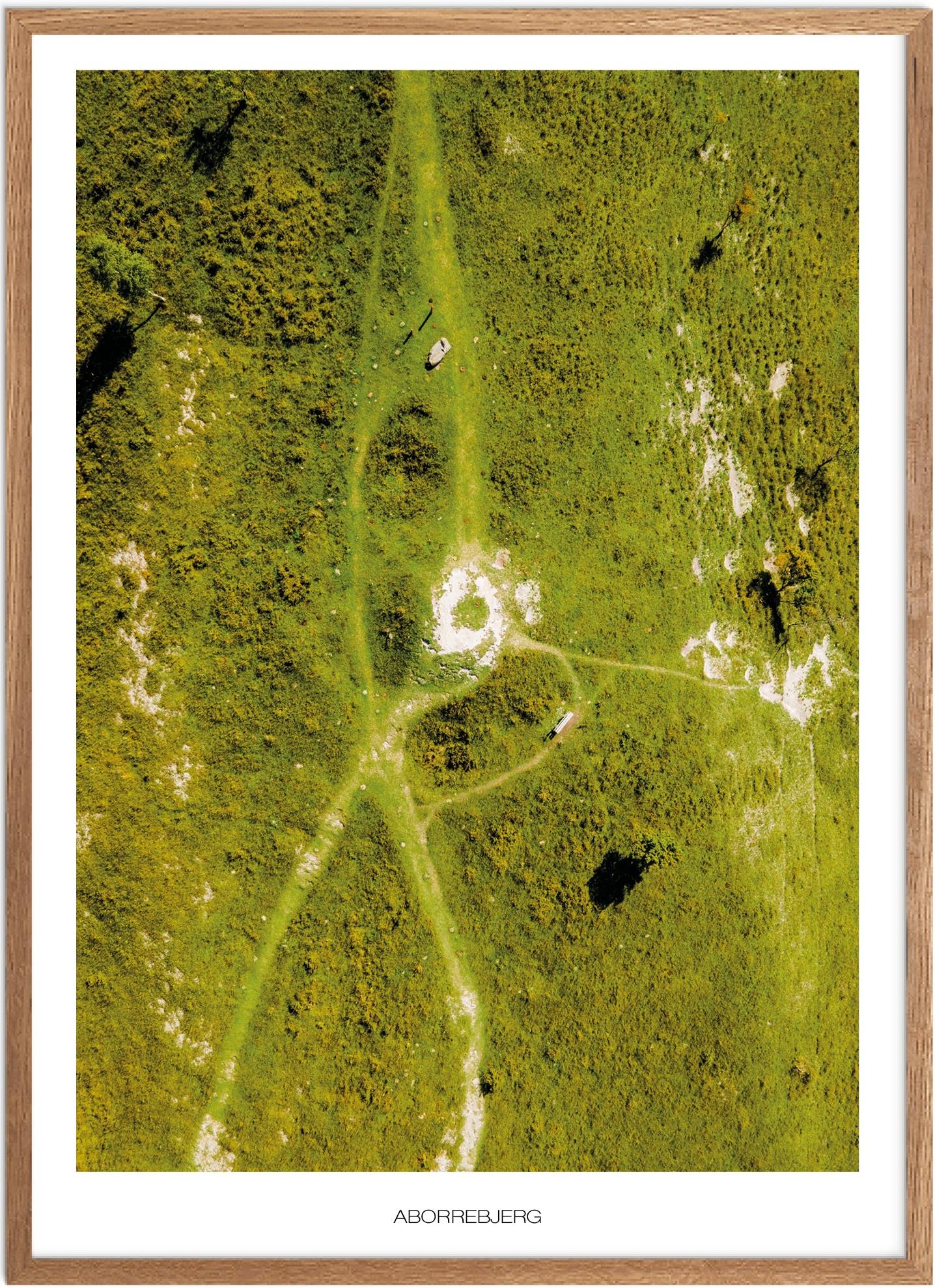 Plakat Aborrebjerg   Naturplakat   Recommended Products  Seguno    Plakat   Plakatsnedkeren   Drone-plakater