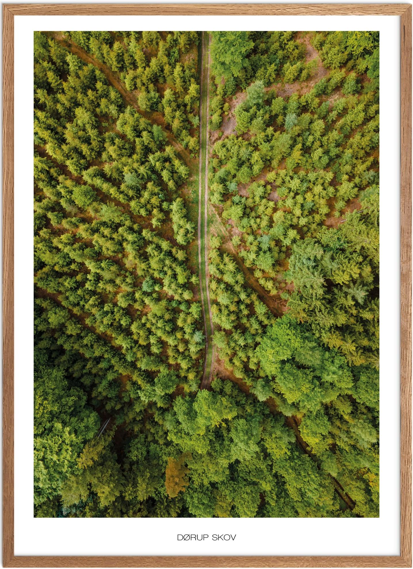 Plakat Dørup Skov   Naturplakat   Plakater østjylland   Plakat   Plakatsnedkeren   Drone-plakater