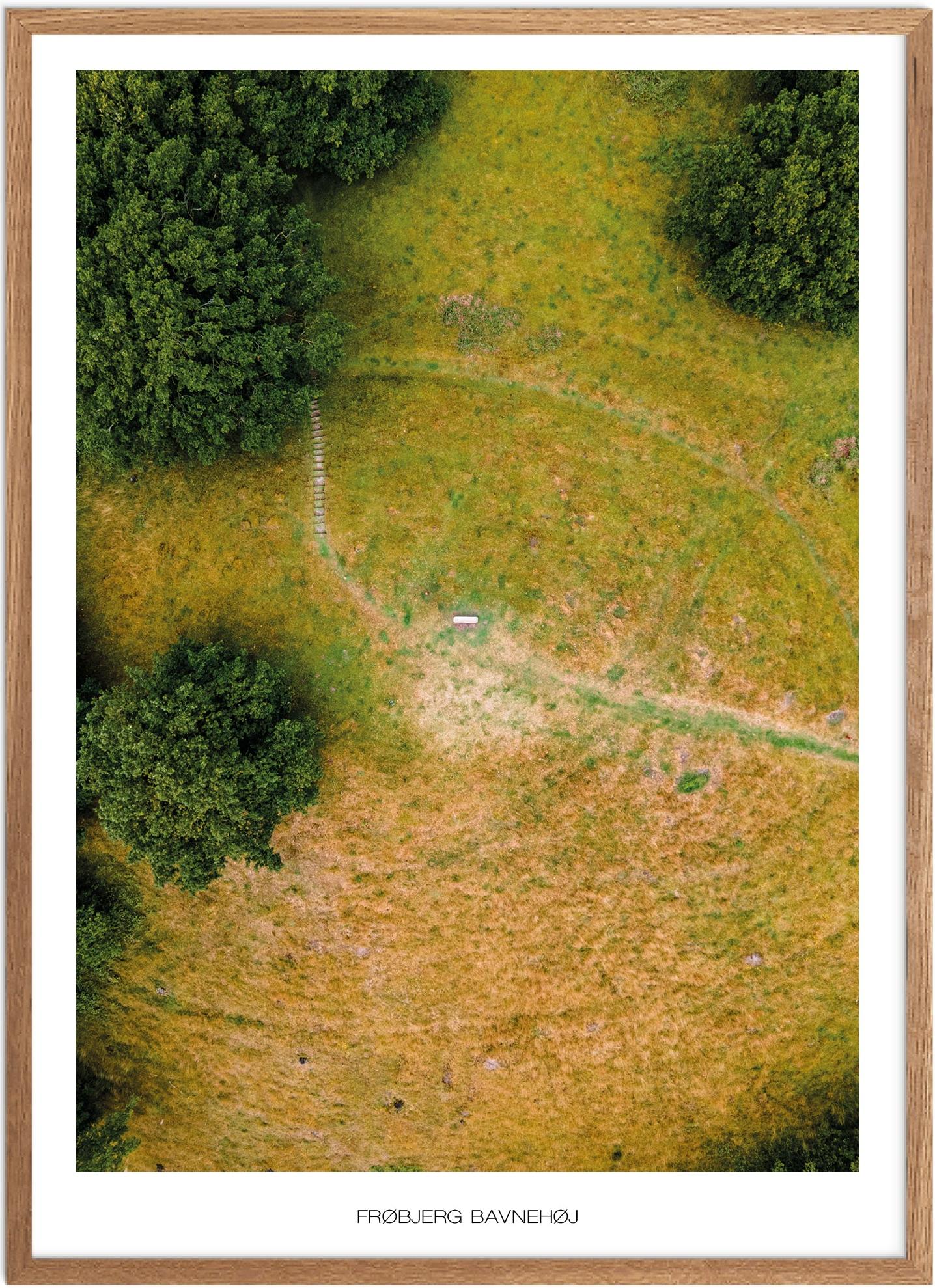 Plakat Frøbjerg Bavnehøj   Naturplakat   Plakater Fyn   Plakat   Plakatsnedkeren   Drone-plakater