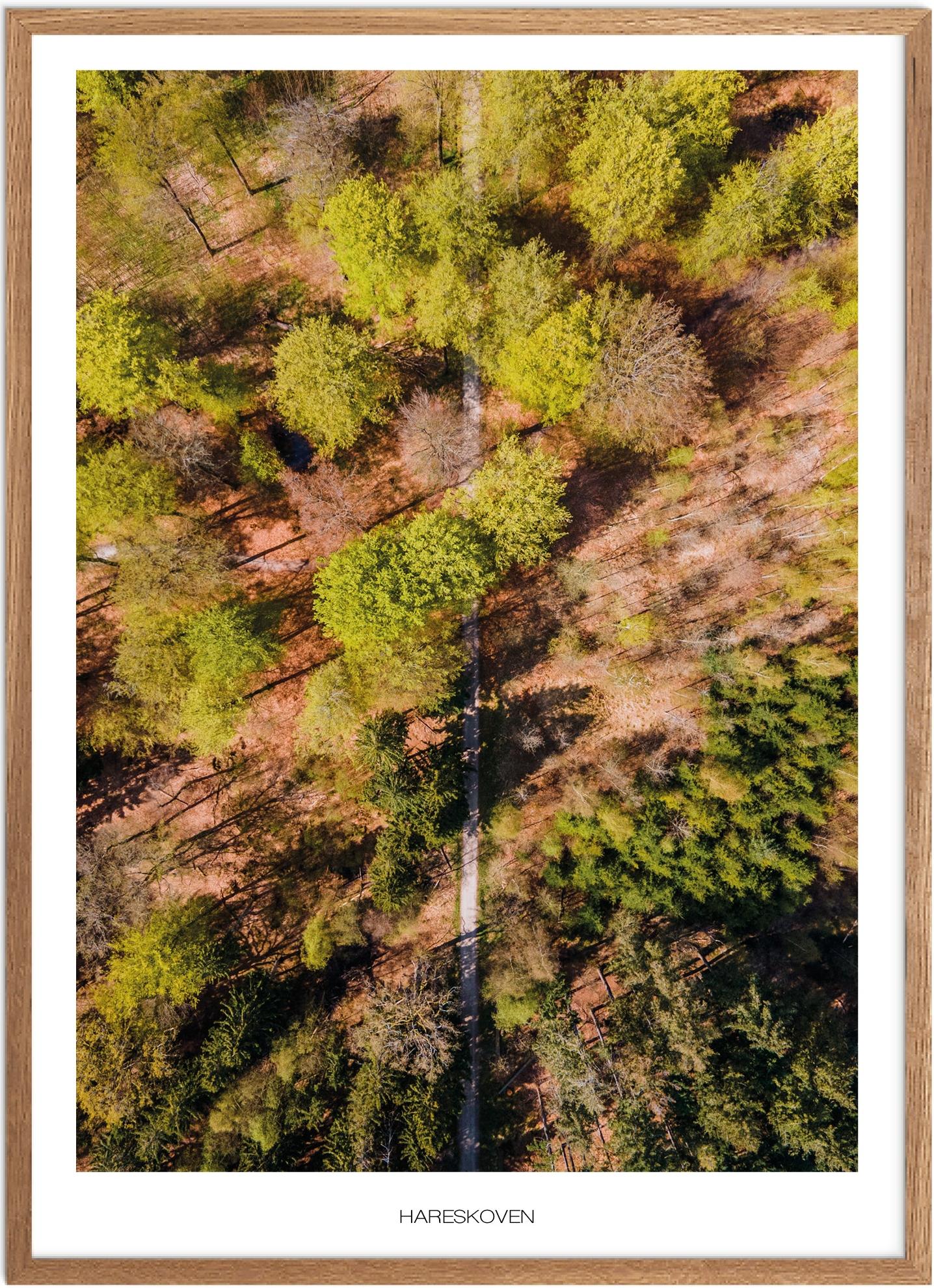 Plakat Hareskoven   Naturplakat   Plakater Nordsjælland   Plakat   Plakatsnedkeren   Drone-plakater
