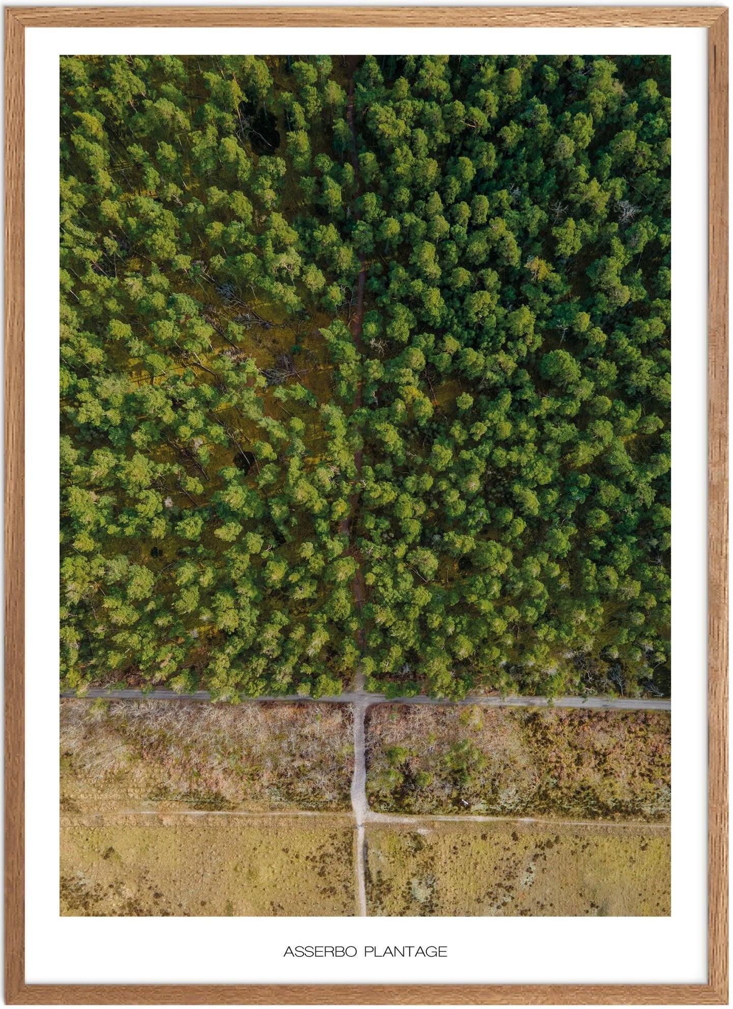 Plakat Melby Overdrev   Naturplakat   Plakater Nordsjælland   Plakat   Plakatsnedkeren   Drone-plakater