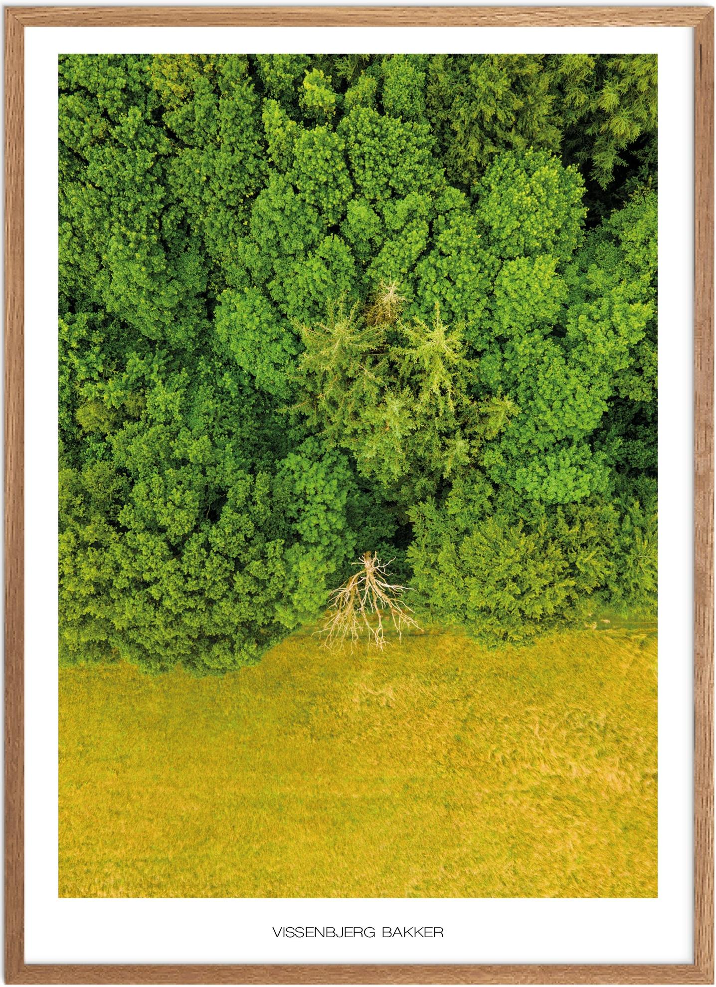 Plakat Vissenbjerg Bakker   Naturplakat   Plakater Fyn   Plakat   Plakatsnedkeren   Drone-plakater