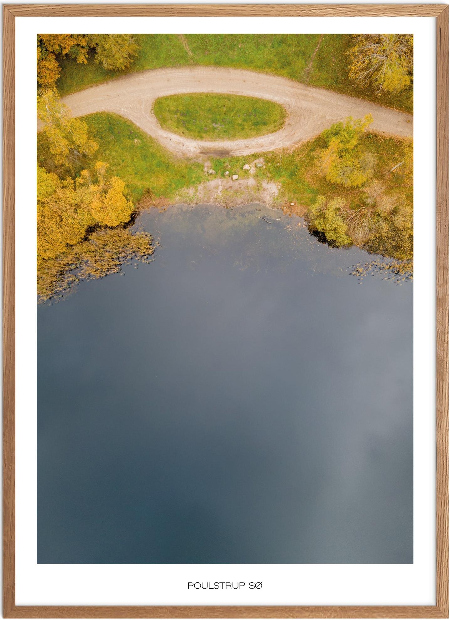 Plakat Dall Hede    Naturplakat   Plakater Nordjylland   Plakat   Plakatsnedkeren   Drone-plakater