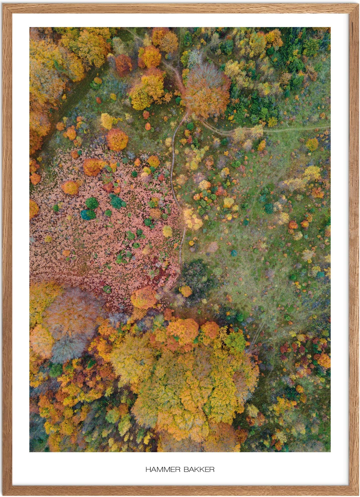Plakat Hammer Bakker   Naturplakat   Plakater Nordjylland   Plakat   Plakatsnedkeren   Drone-plakater