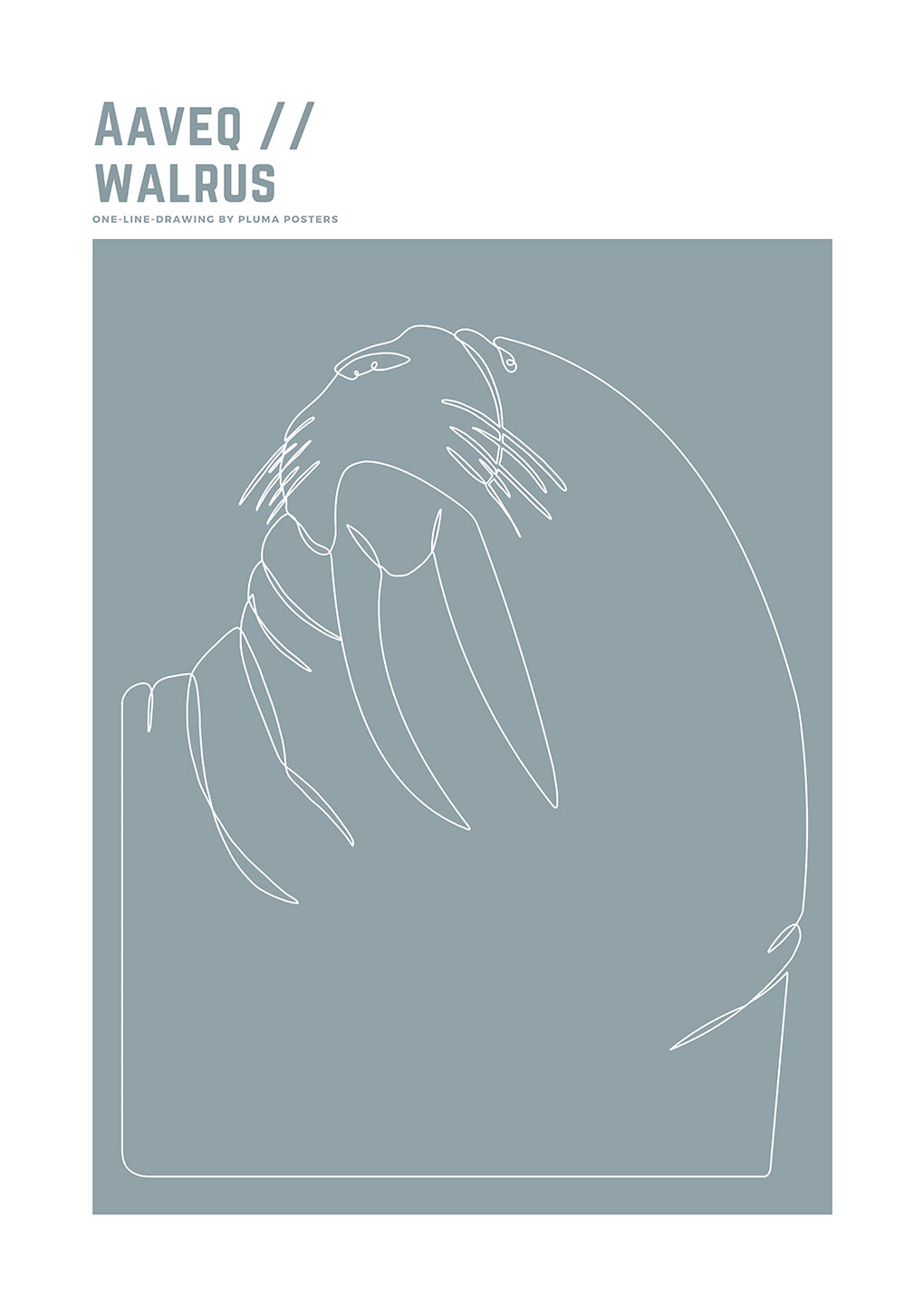 Aaveq - Walrus Plakat til hjemmet fra Pluma Posters