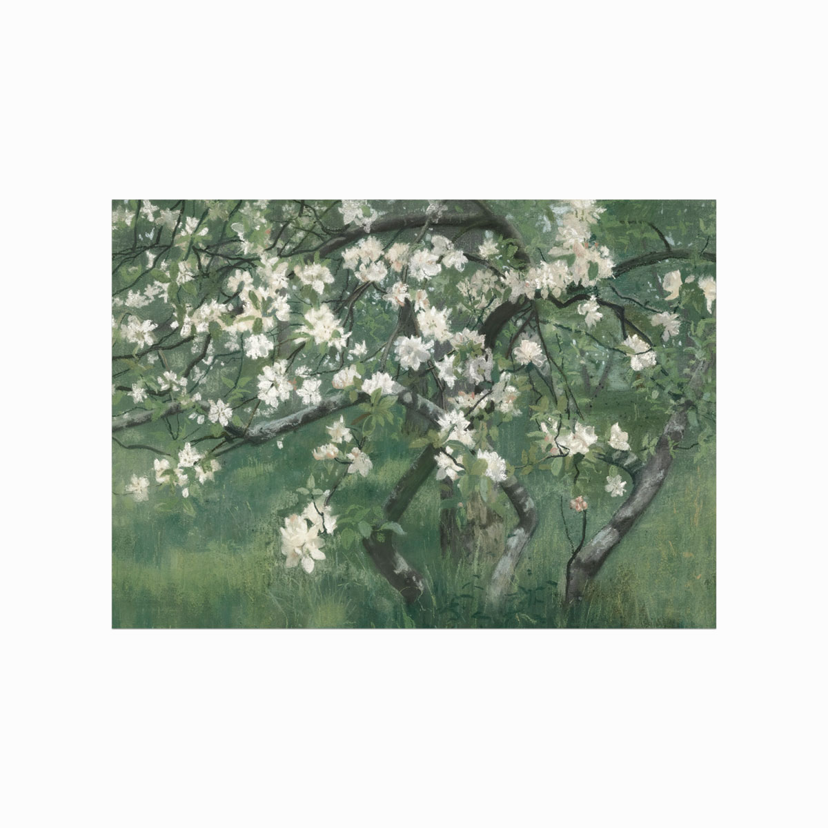 Antik Plakat med Blomstrende Æbletræ – Unik Indretning