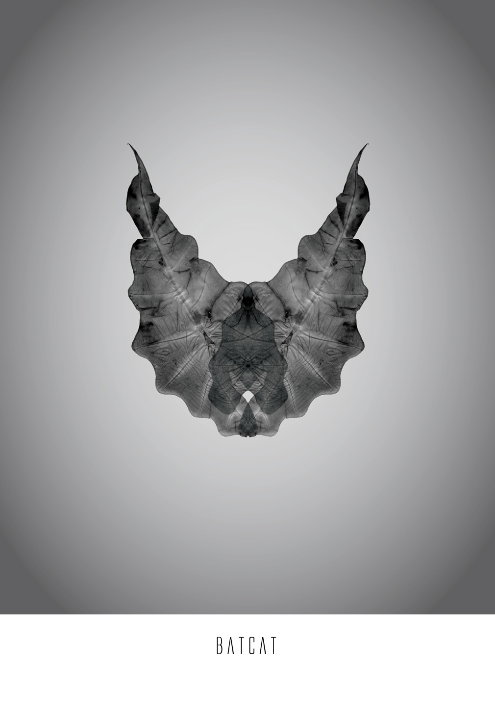 Elegant Sort-hvid Batcat Plakat fra Ten Valleys