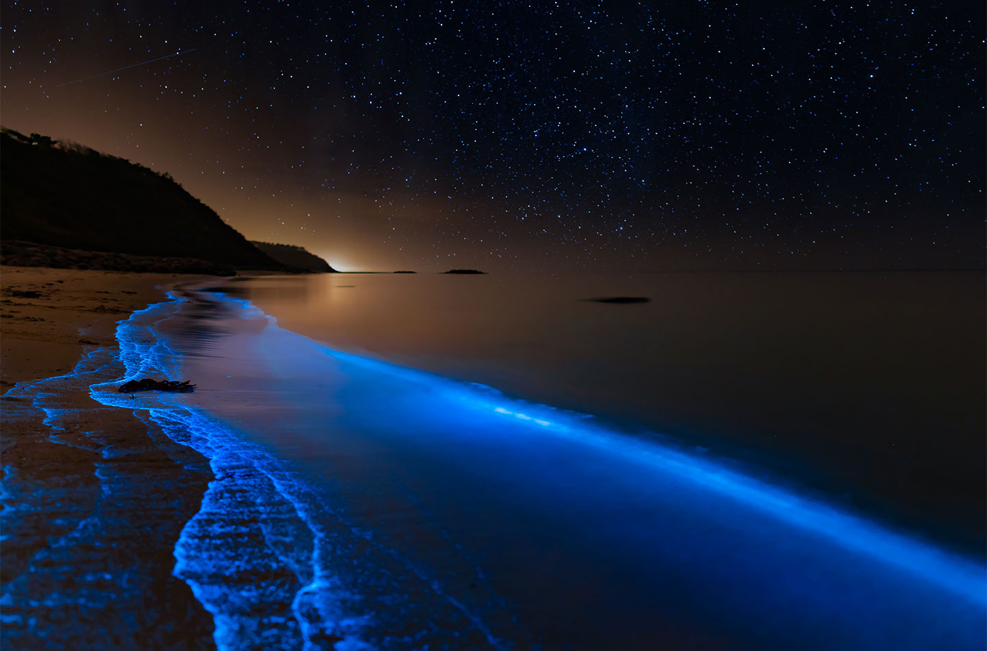 Bioluminescens Plakat - Magi fra Danmarks Kystlinje