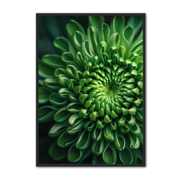 Farverig Blomsterplakat - Pynt Dine Vægge Med Kunst!
