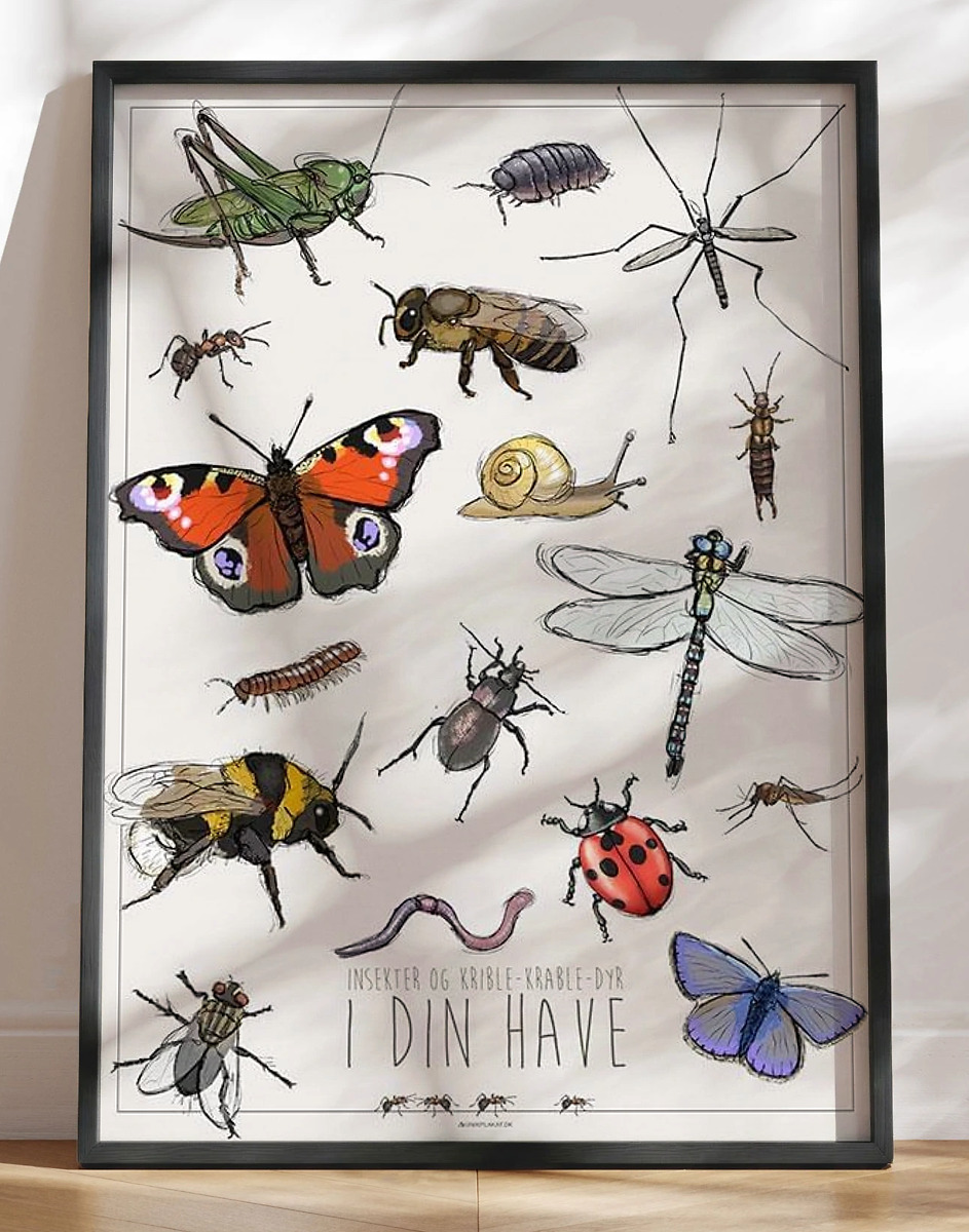Børneplakat Med Insekter   Smådyr   Haven