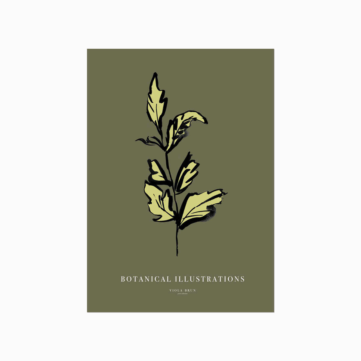 Botanical Illustrations  Leaf