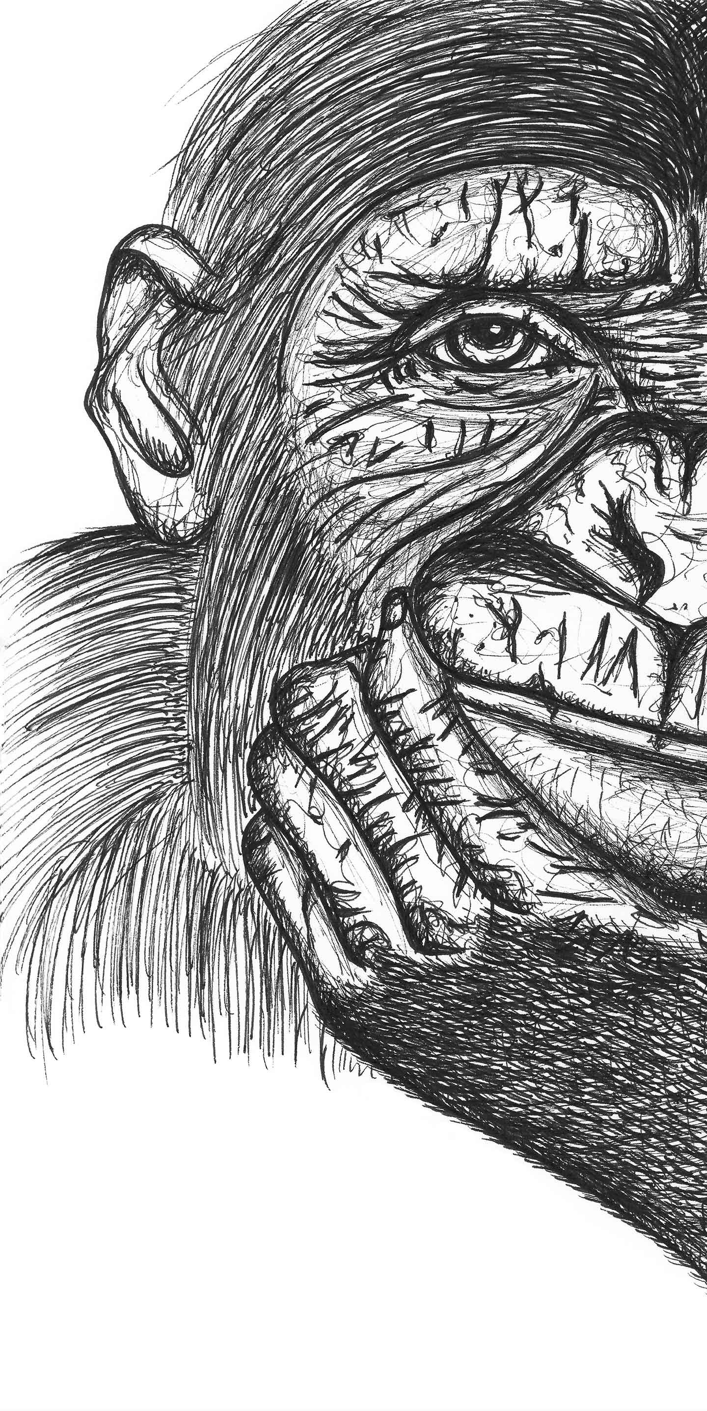 Hector Chimpanse – Unik Kunstillustration til Dit Hjem