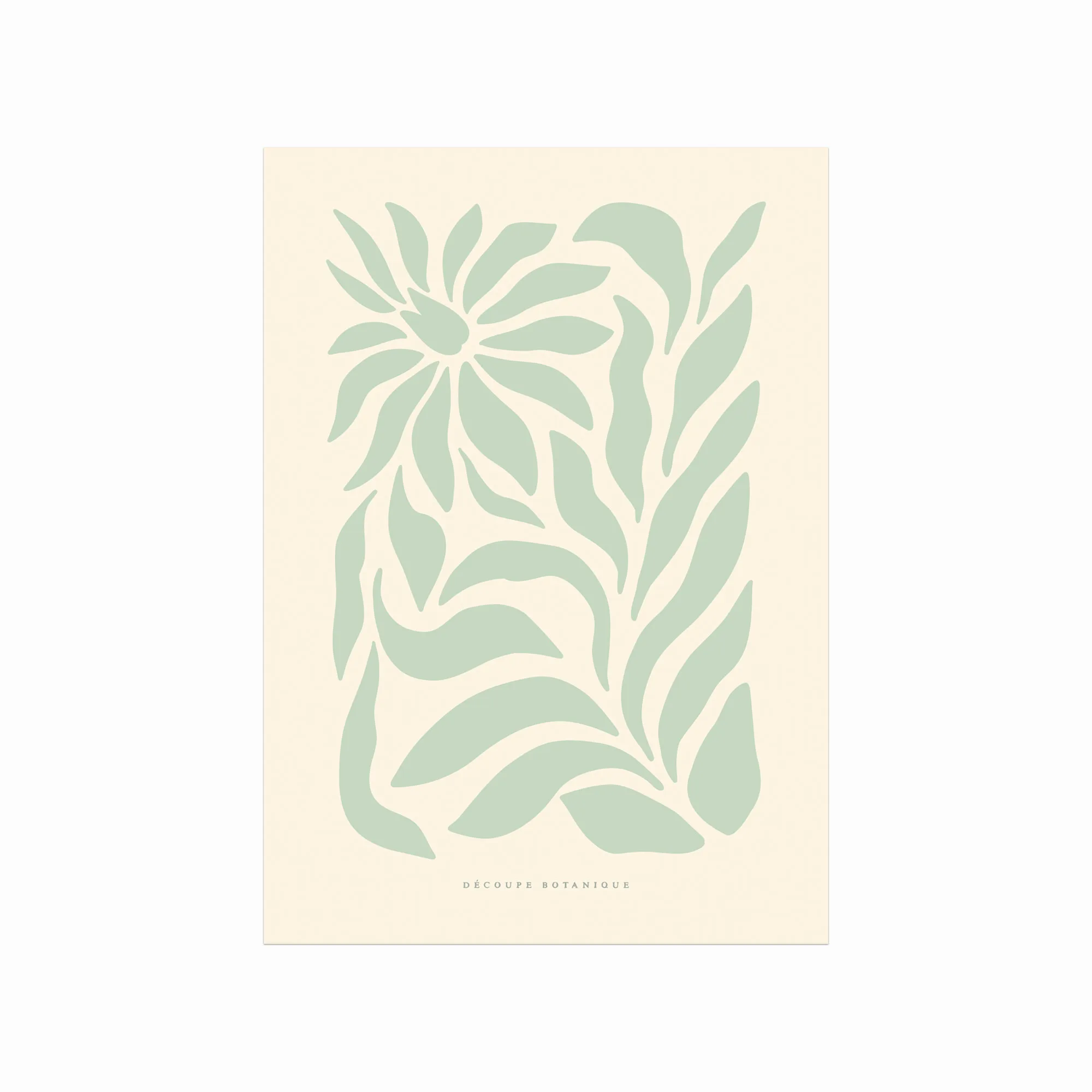 Dekorativ Blomsterplakat – Botanique 03 på Tilbud!