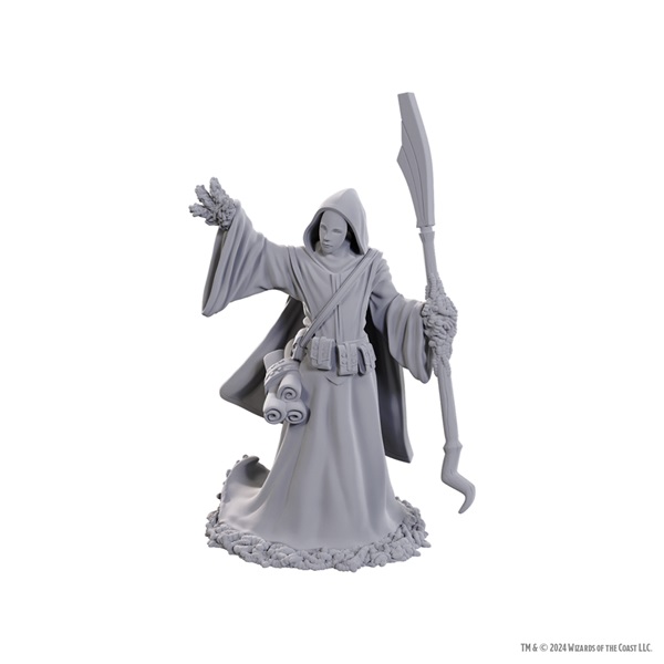 Dungeons Dragons Nolzur Marvelous Miniatures: Star Spawn Larva Mage Wzk90754