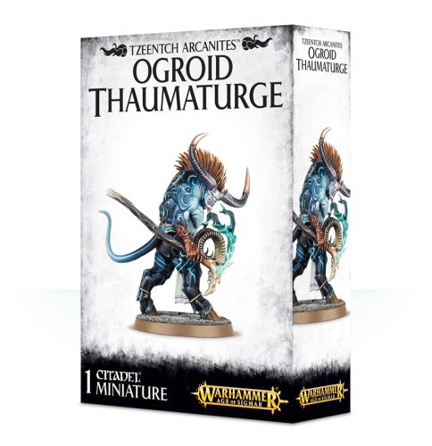 Disciples   Tzeentch Ogroid Thaumaturge  Silver Tower  99120201062