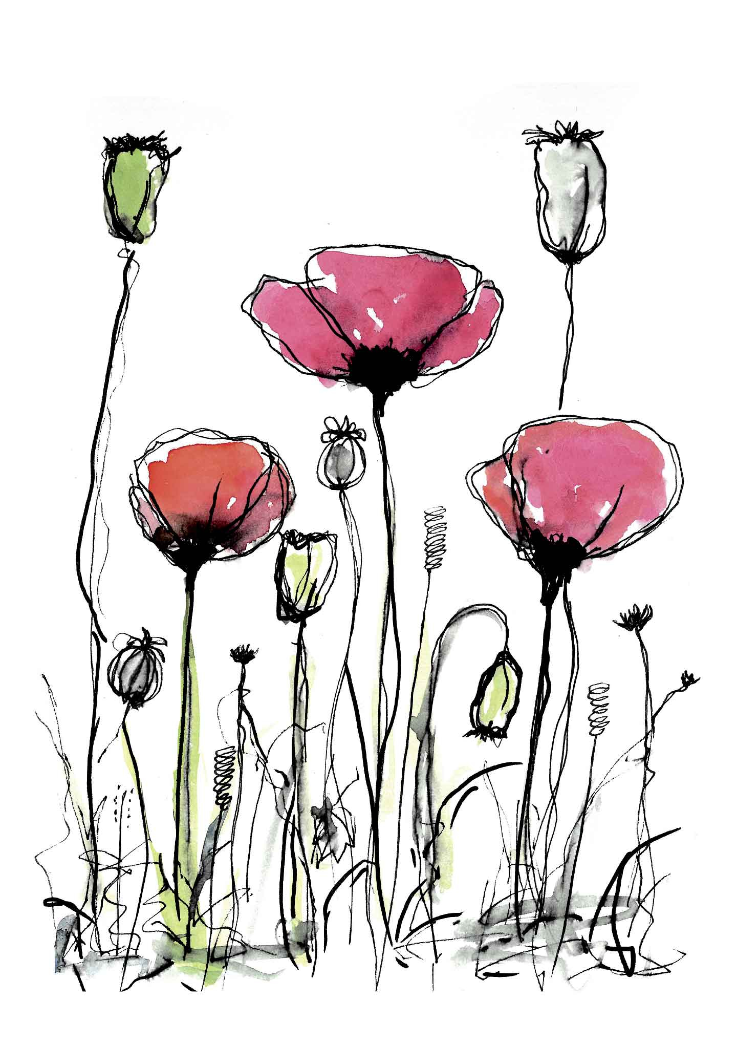 Field Flowers   Lisa Ylander