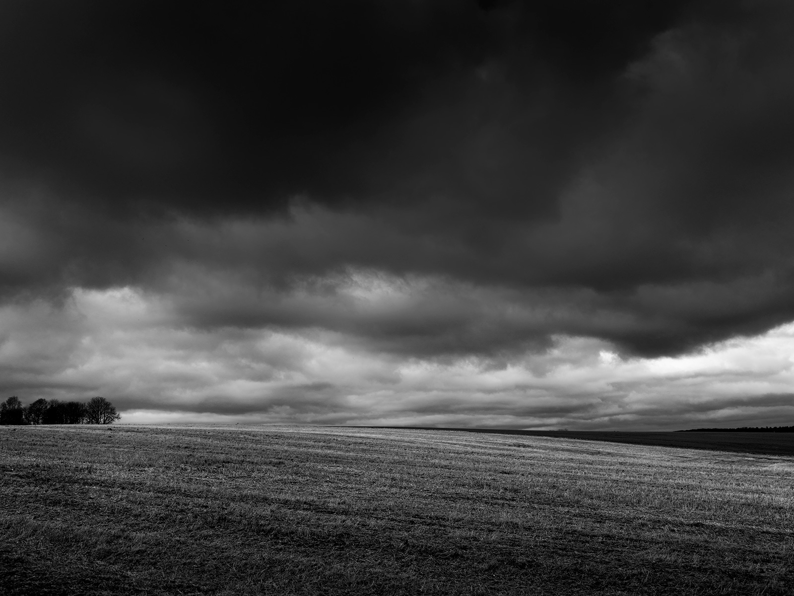 Unik Sort-hvid Naturfotokunst af Jakob Evers til Dit Hjem