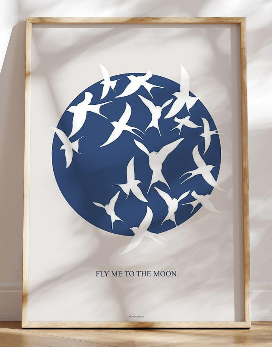 Fly     The Moon