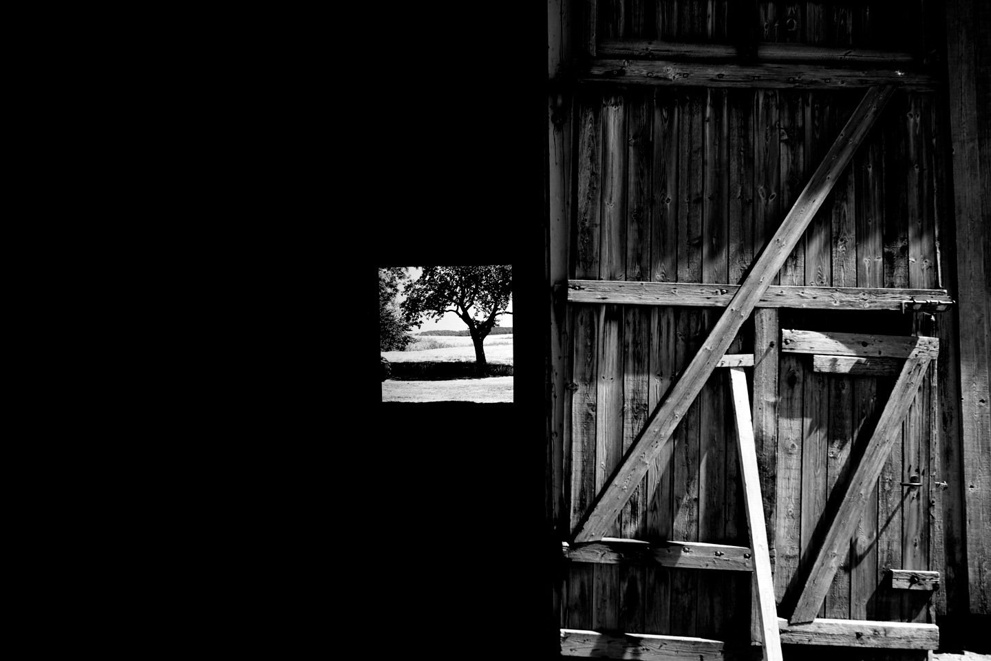 Minimalistisk Sort-Hvid Fotokunst af David Foli