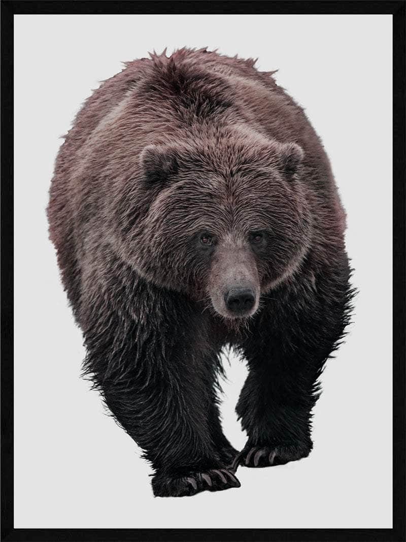 Grizzlybjørn Plakat – Beroligende Kunst til Dit Hjem