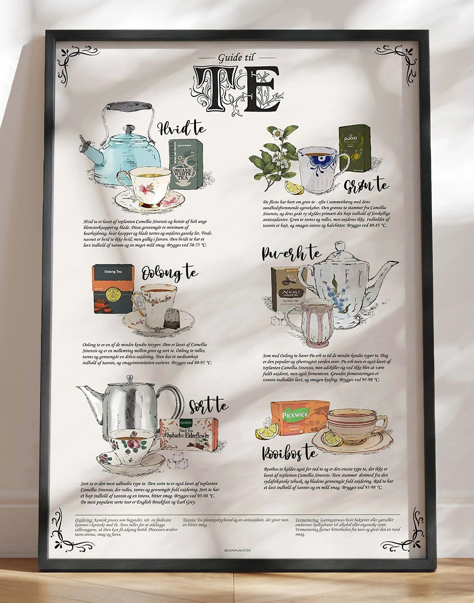 Guide Til   Hyggelig  Håndtegnet Teplakat Med Tetyper   Skal Kende