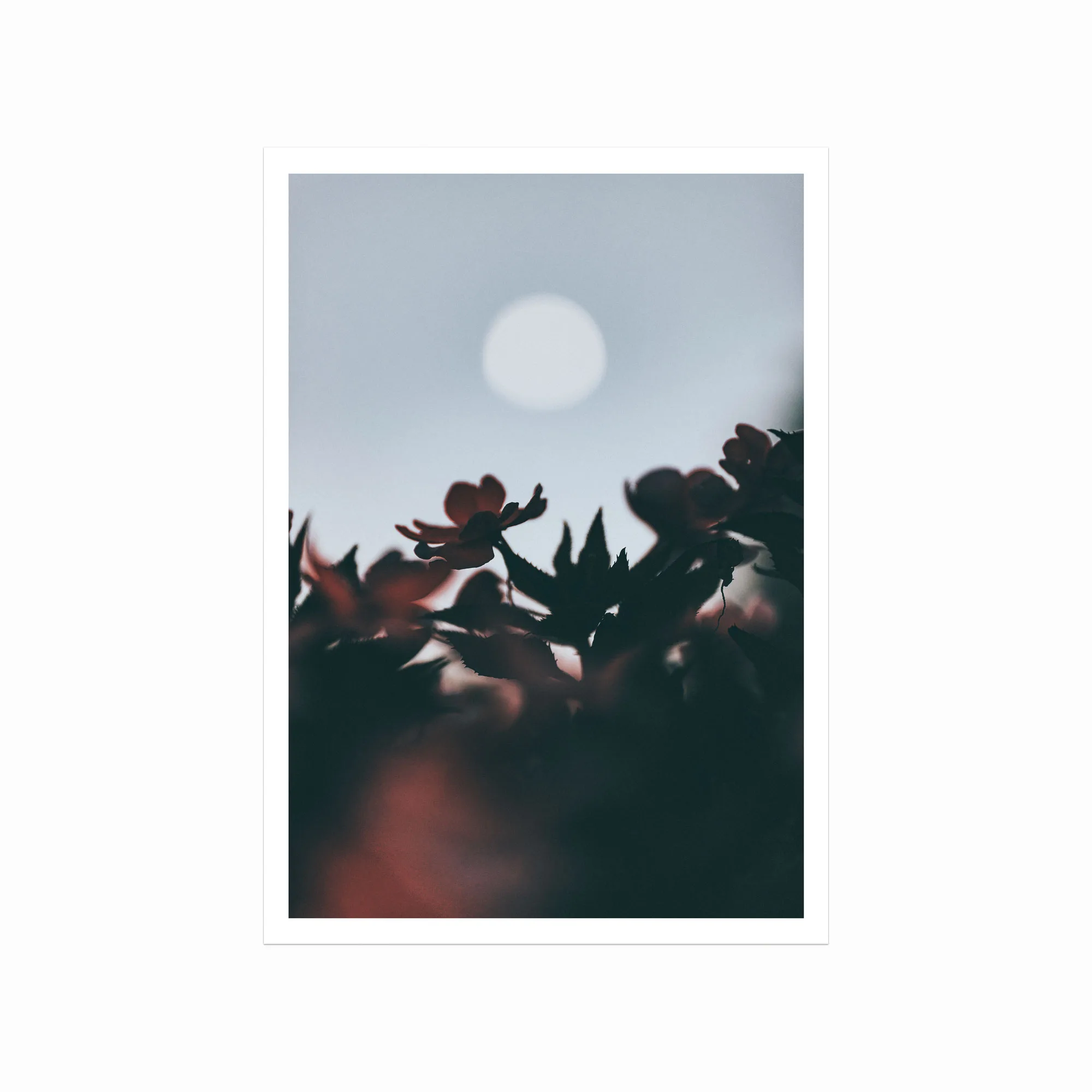 Smuk Harvest Moon Plakat – Skab ro i dit hjem