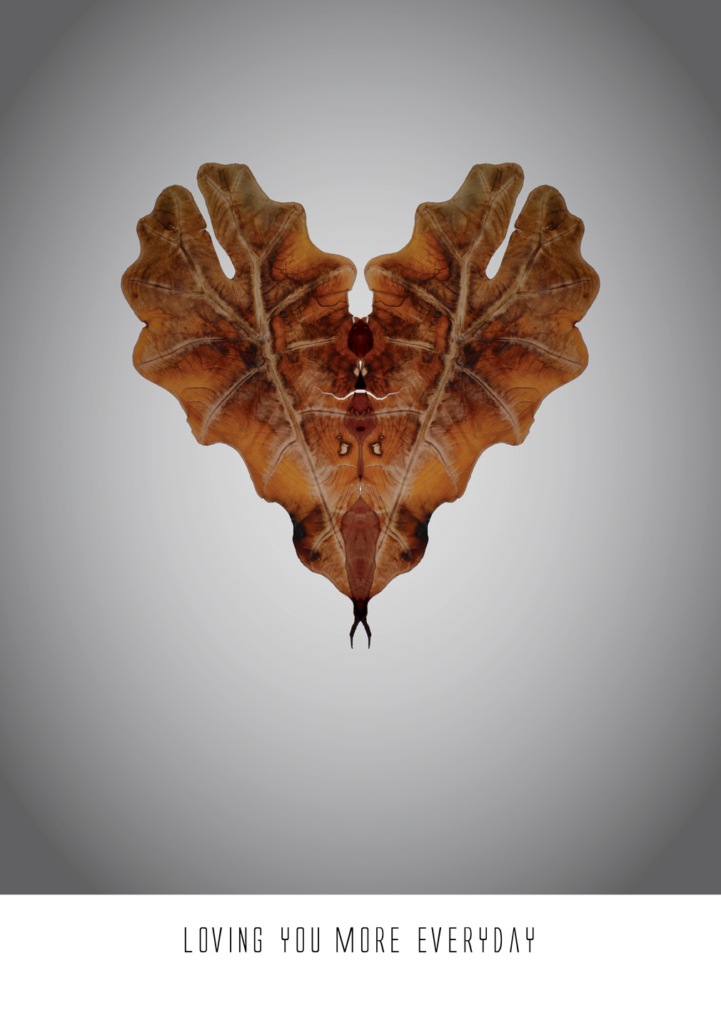 Hjerte Illustration fra Ten Valleys – Grafisk Kunst Tilbud!