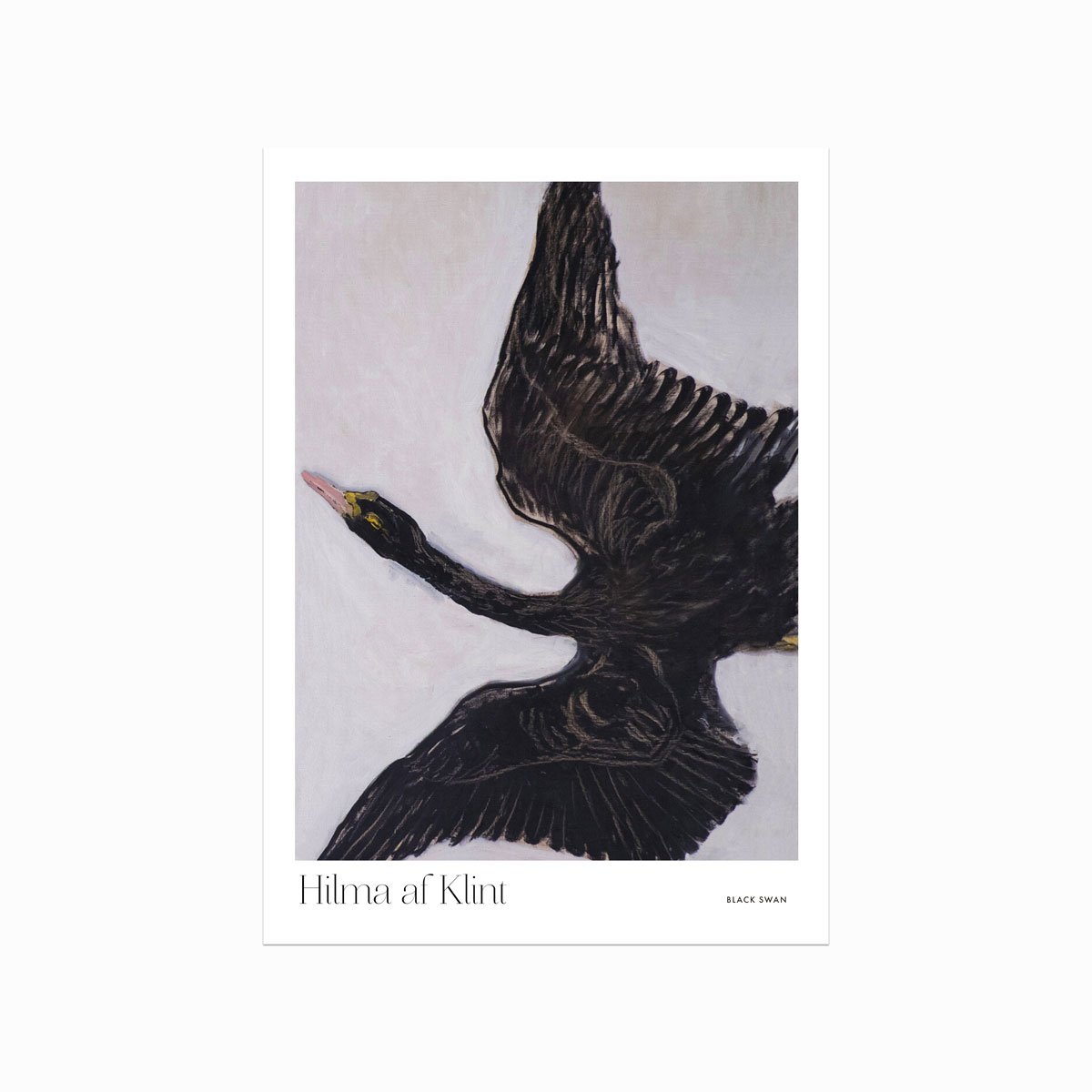 Hilma Af Klint Plakat – Black Swan til dit hjem