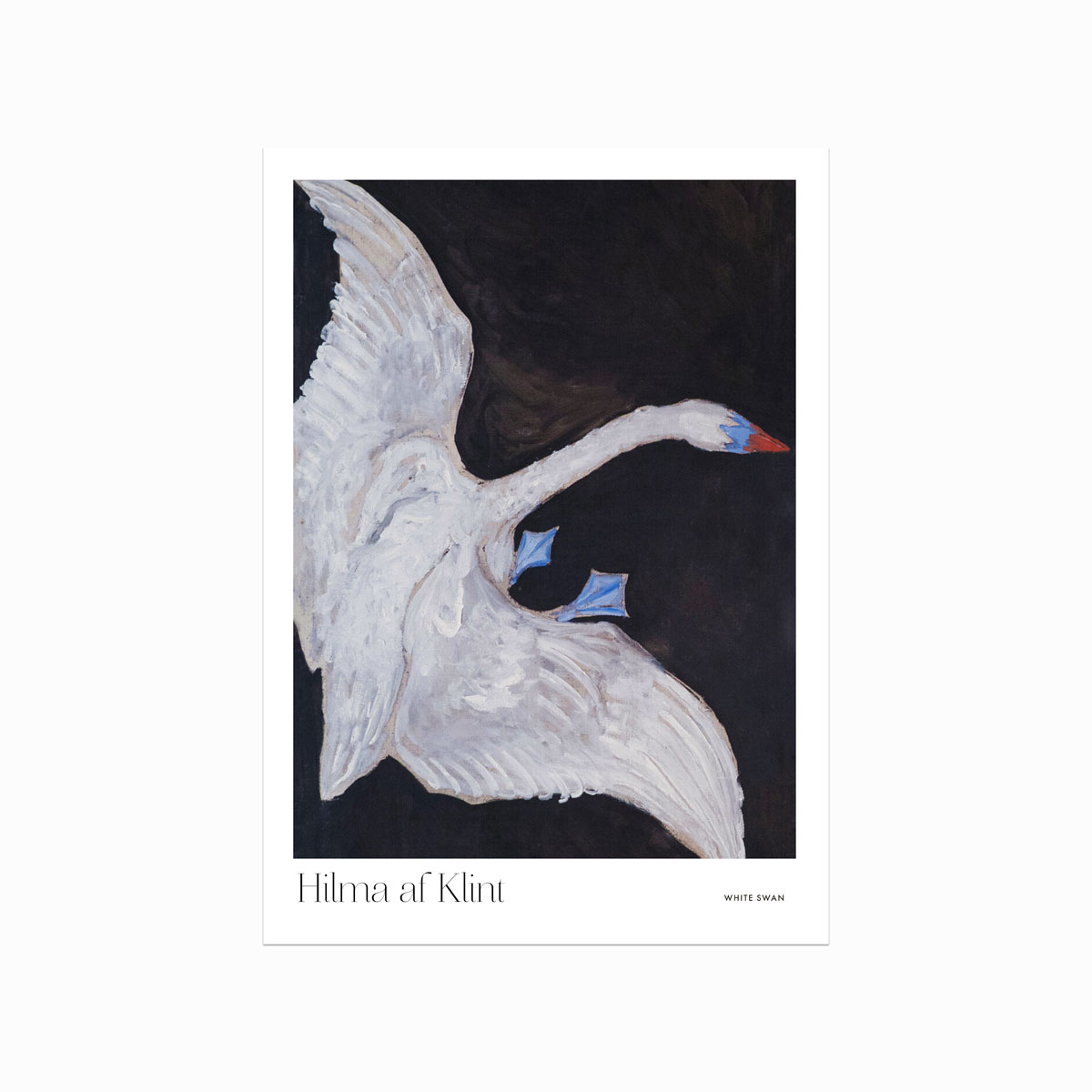 Hilma Af Klint Plakat – White Swan Tilbud!