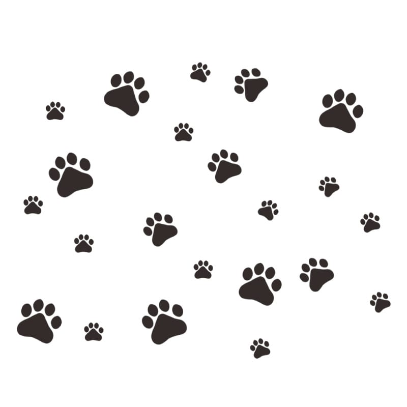 Søde Hunde Poteaftryk Wallsticker til Hundelskere - Dekorativt!