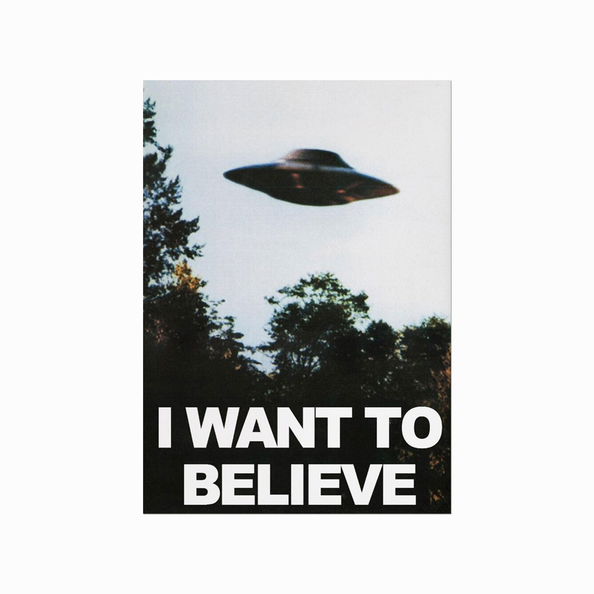 Want Believe