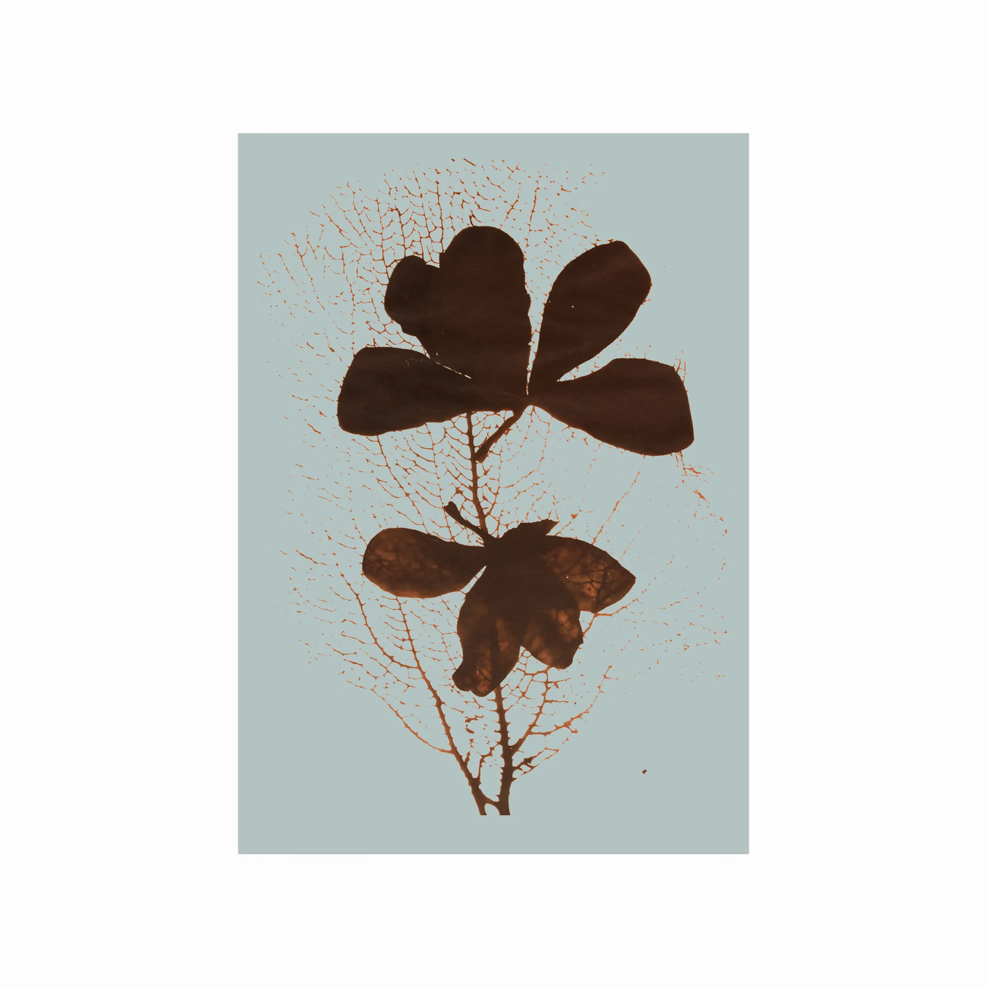 Farverig blomsterplakat - Liv og farve til dit hjem!