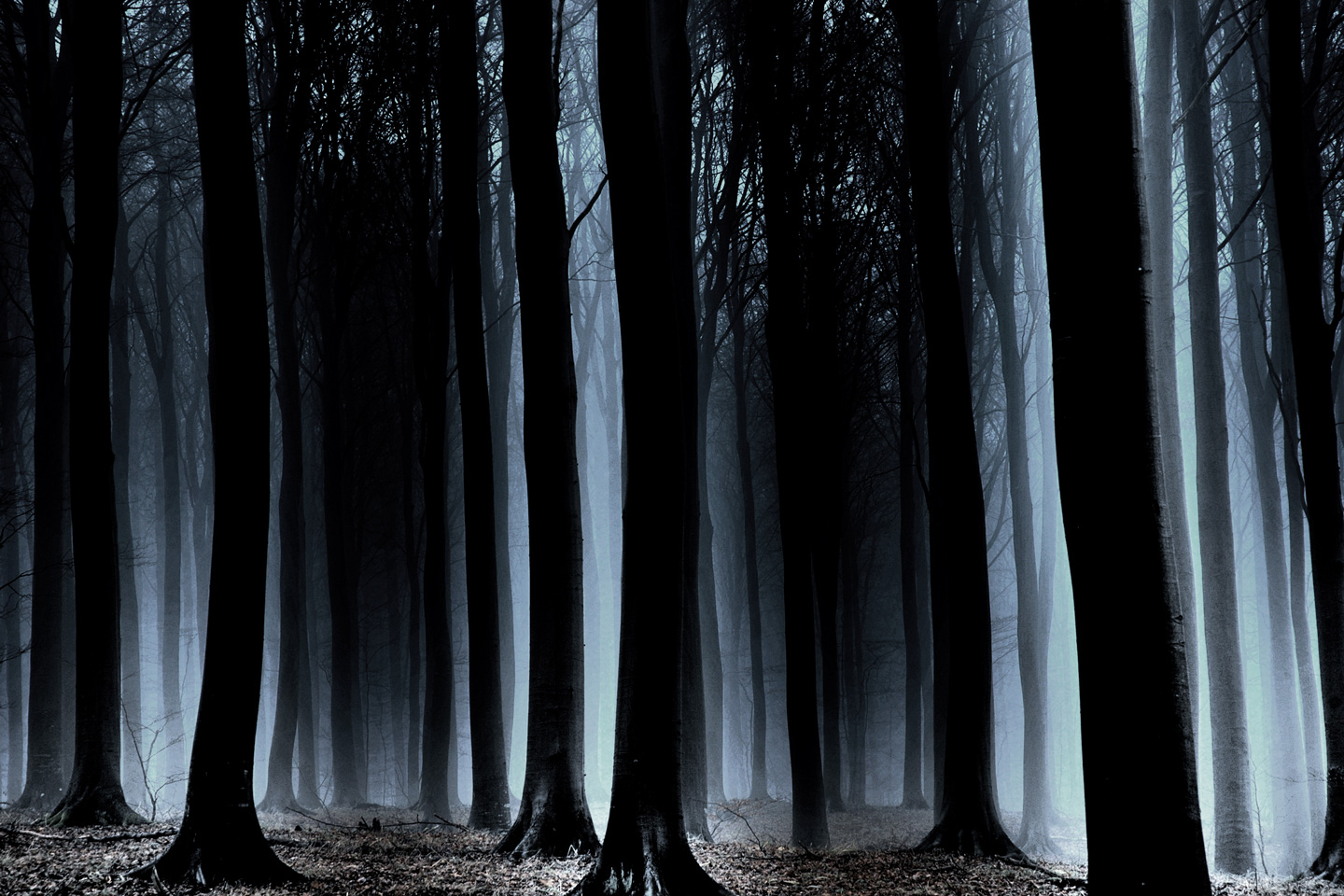 Naturfotografi: "Is There Anybody Out There?" af Laugesen