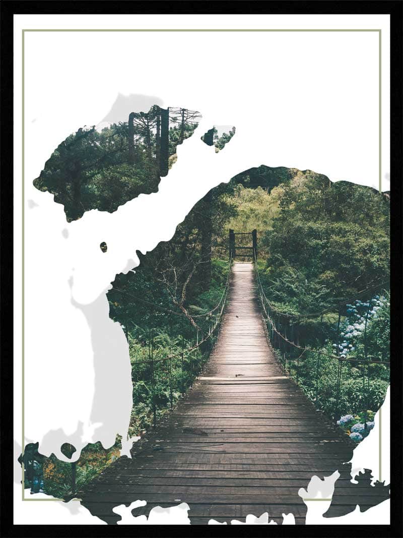 Junglebro Natur Plakat - Fantastisk Junglemotiv til Indretning