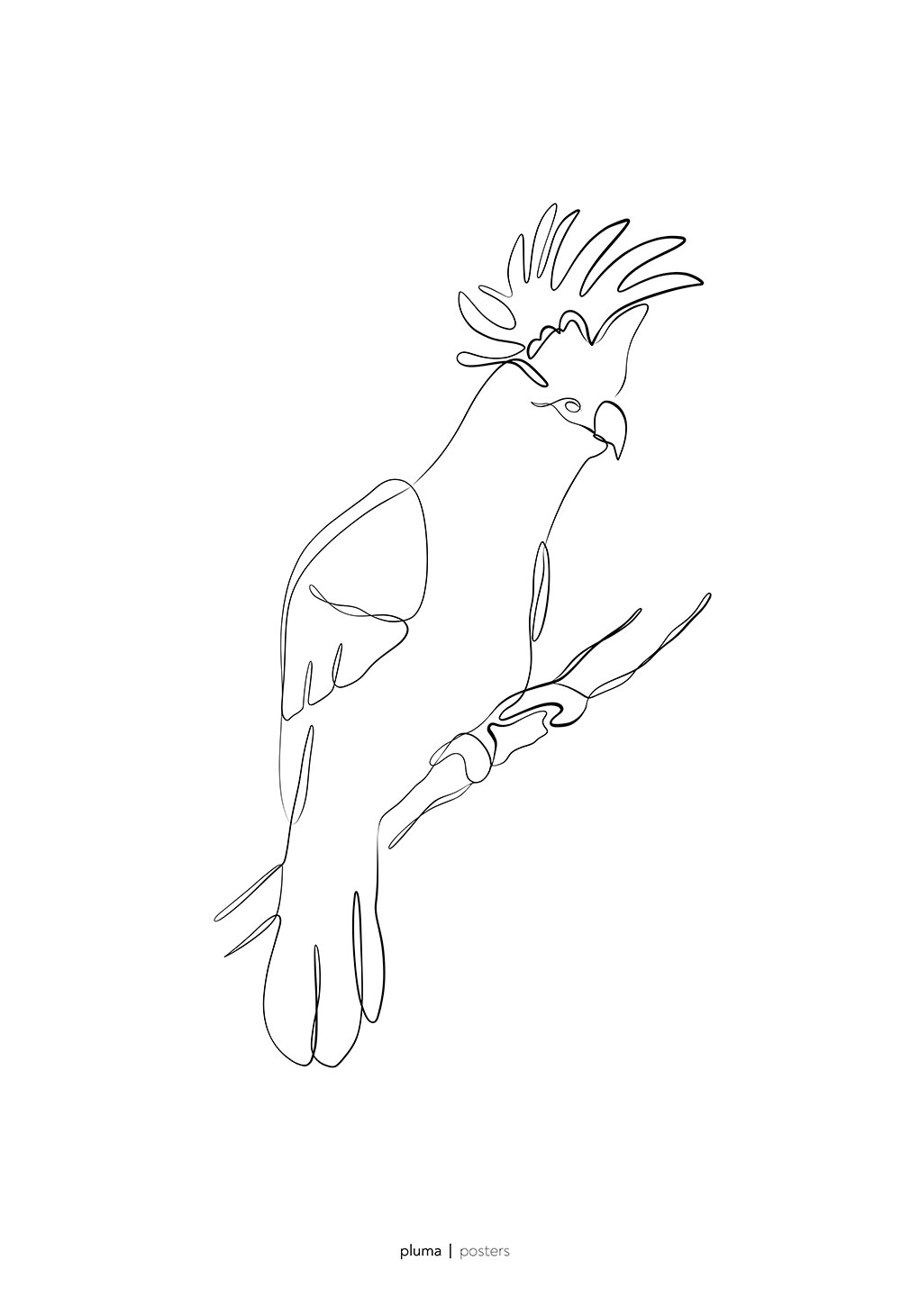 Kakadu Pluma Plakat – Sort-hvid Naturkunst til Dit Hjem