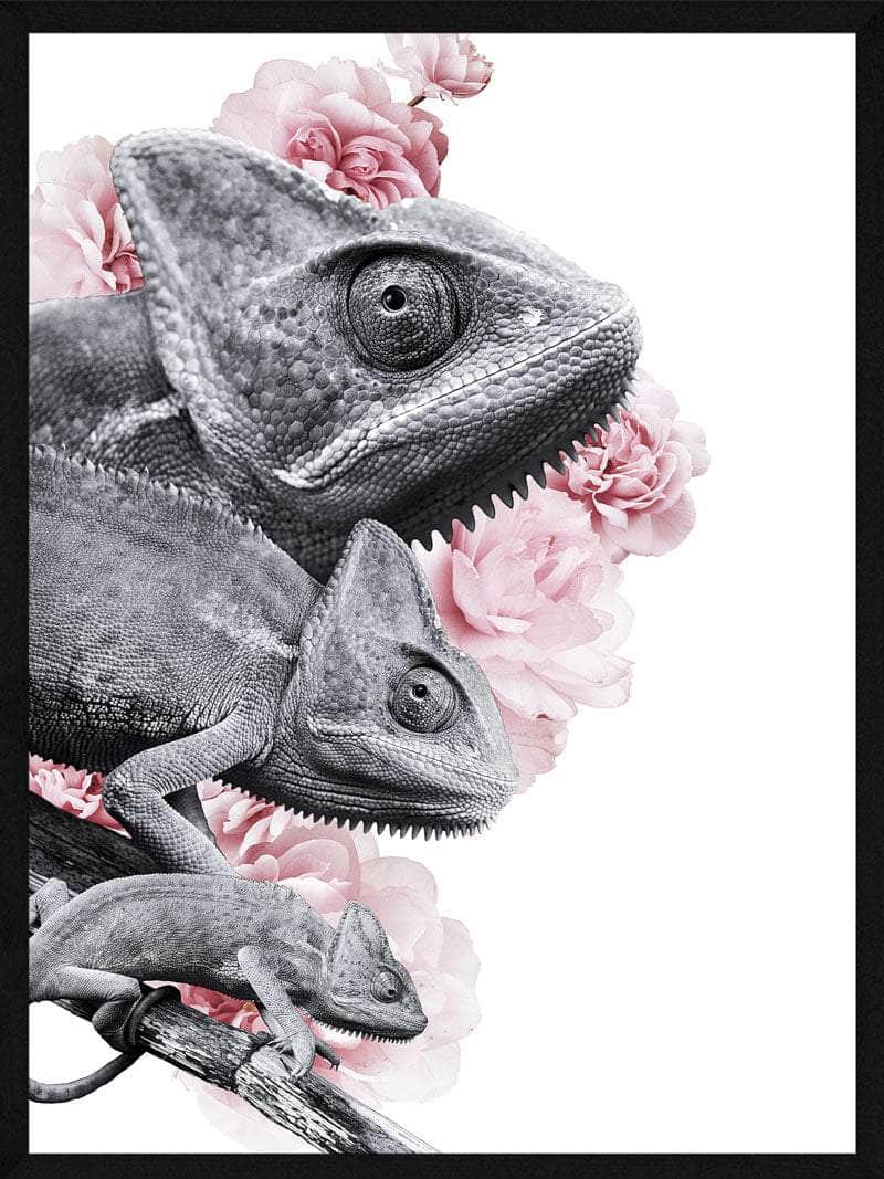 Kamæleon Plakat – Smuk Kunst til Dyreelskere!