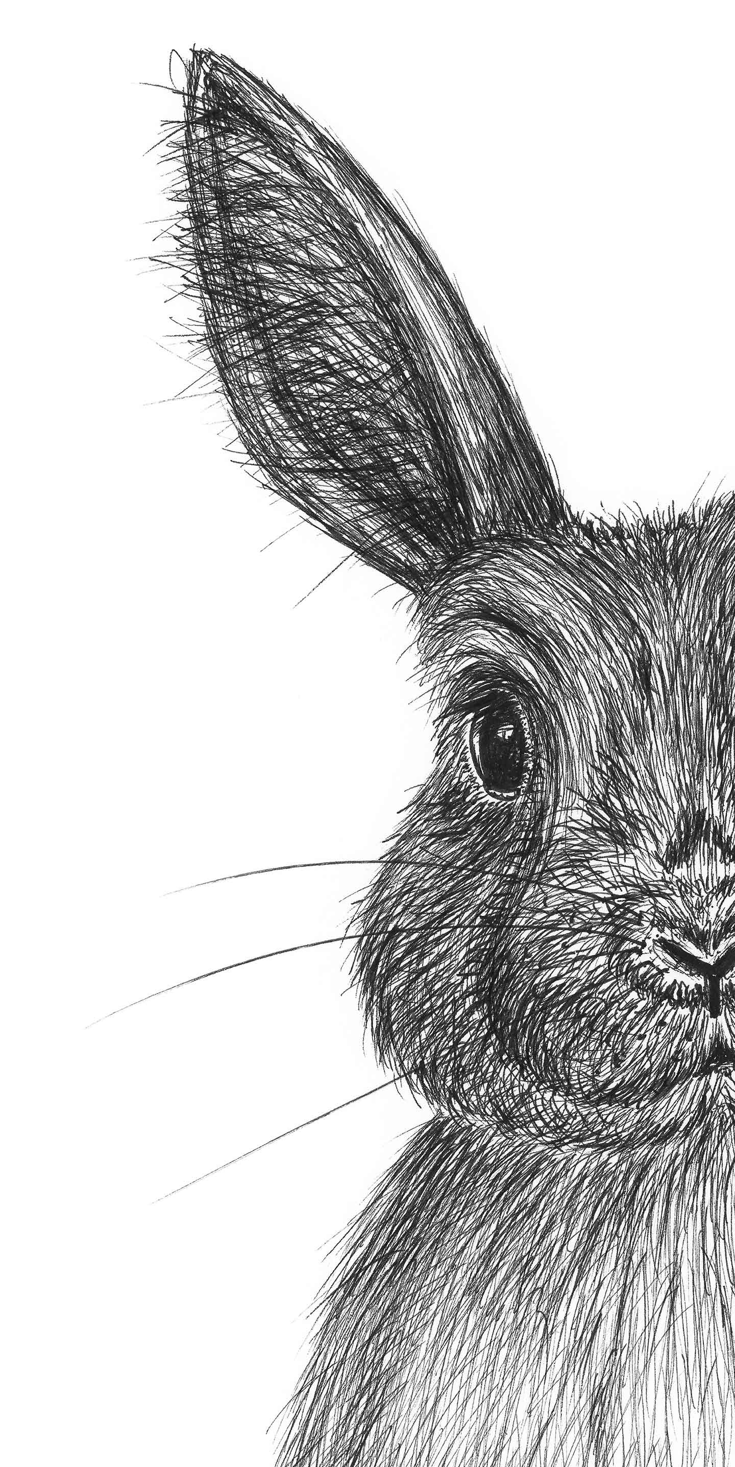 Køb Kaninen Karla – Unik Kunsttryk til Dit Hjem!