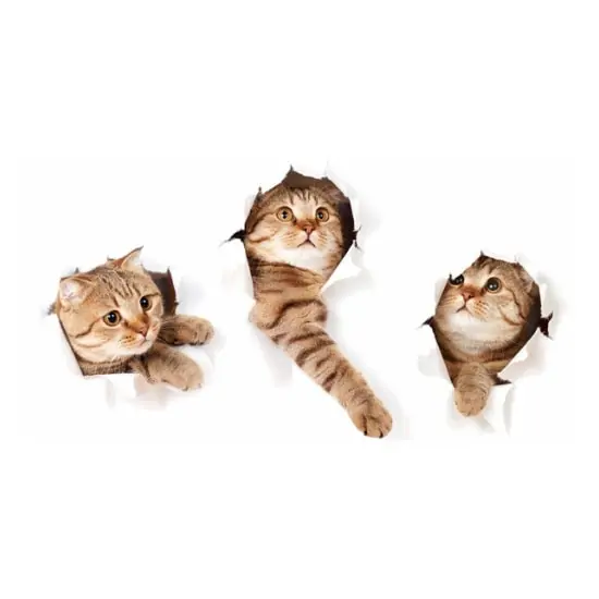 Katte wallstickers - Sjov dekoration til dit hjem