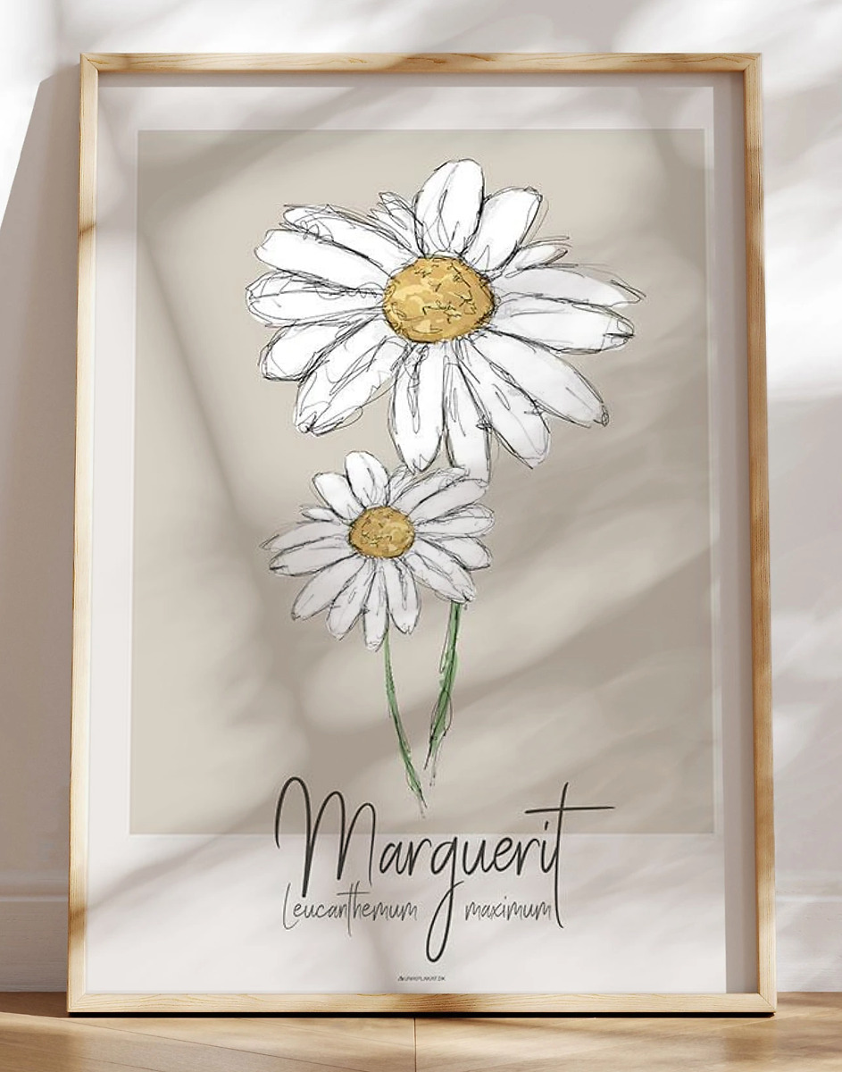Kunstplakat Marguerit