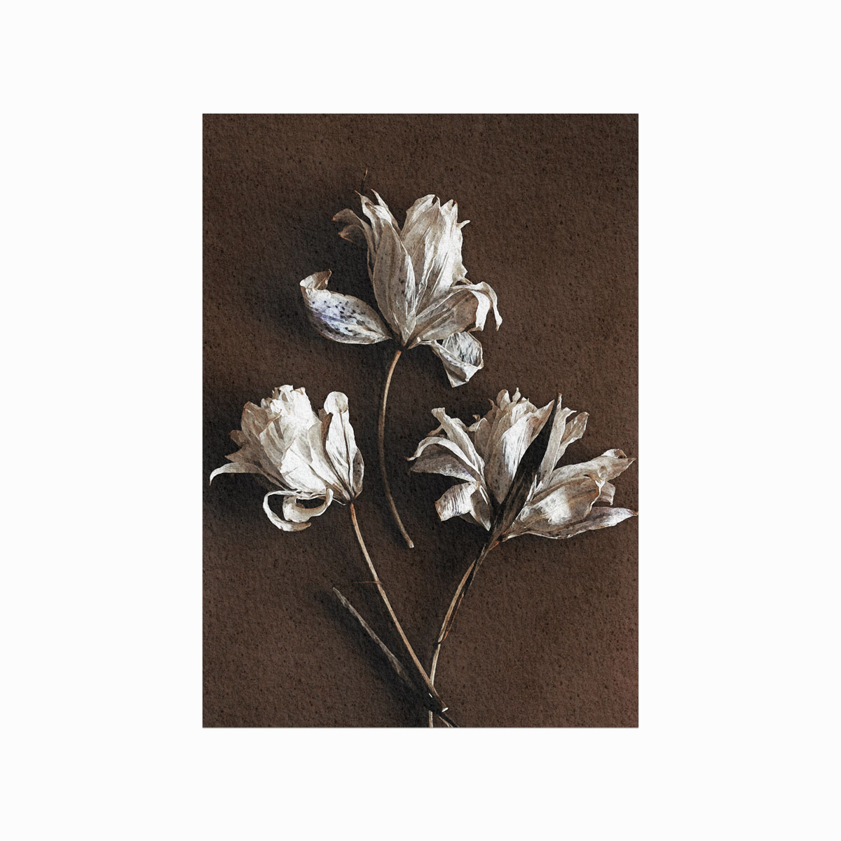 Lucie Veselá  White Flowers   Wood