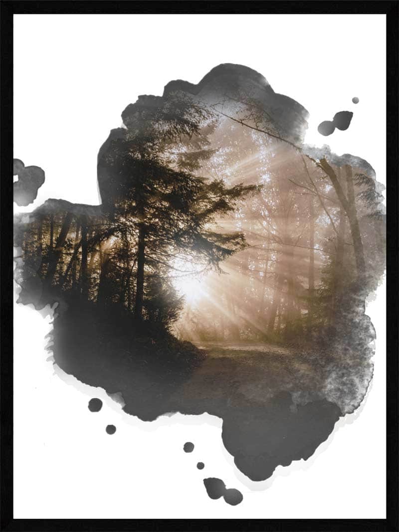 Lysindfald i Skoven - Smuk Naturplakat fra Postersbyus