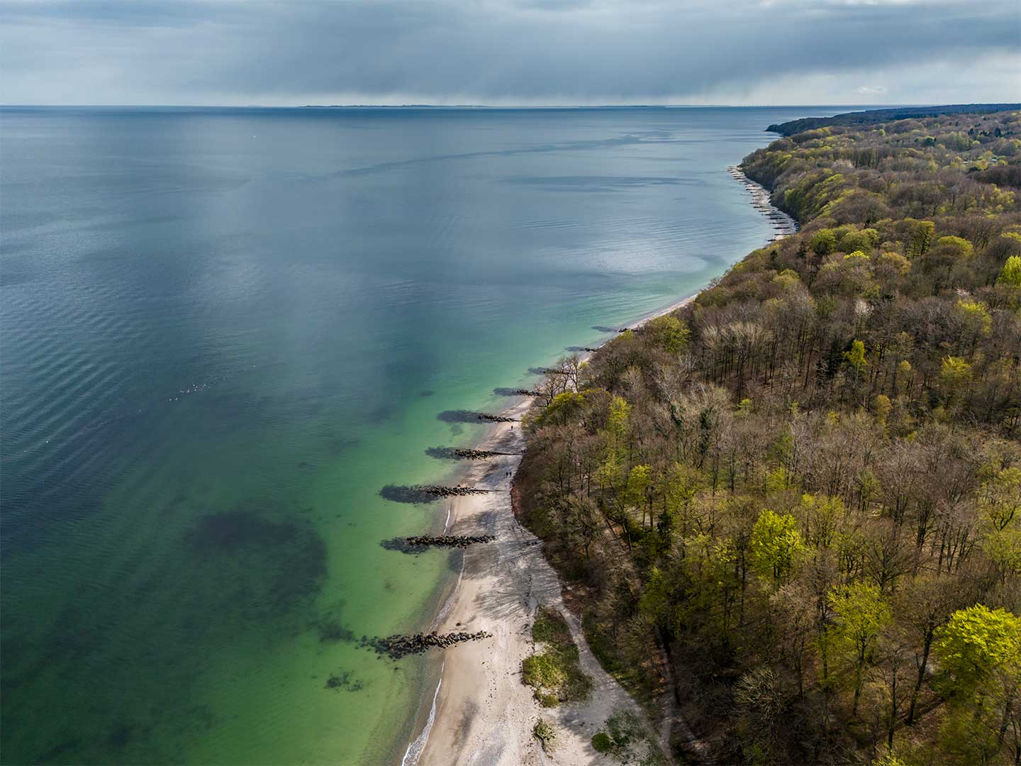 Marselisborg Skov Kunstværk – Unik Hjemmedekoration