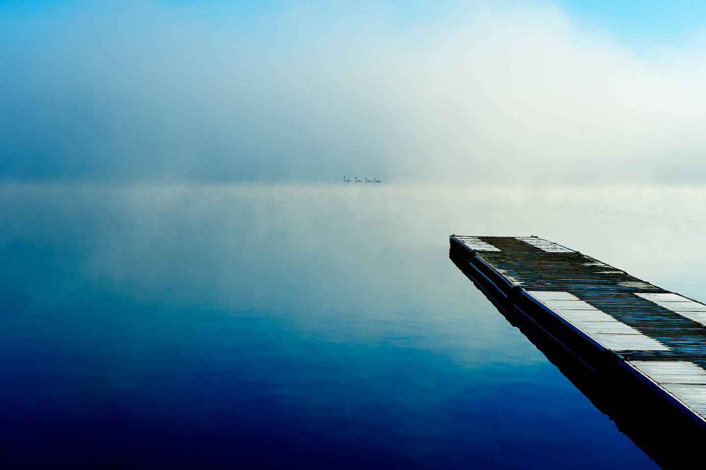 Morgenbillede af David Foli - Naturfotografi til salg