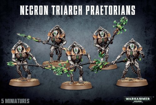 Necrons Lychguard og Triarch Praetorians - Black Friday Tilbud!