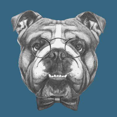 Illux No Diggity Dog – Farverig hundekunst til hjemmet