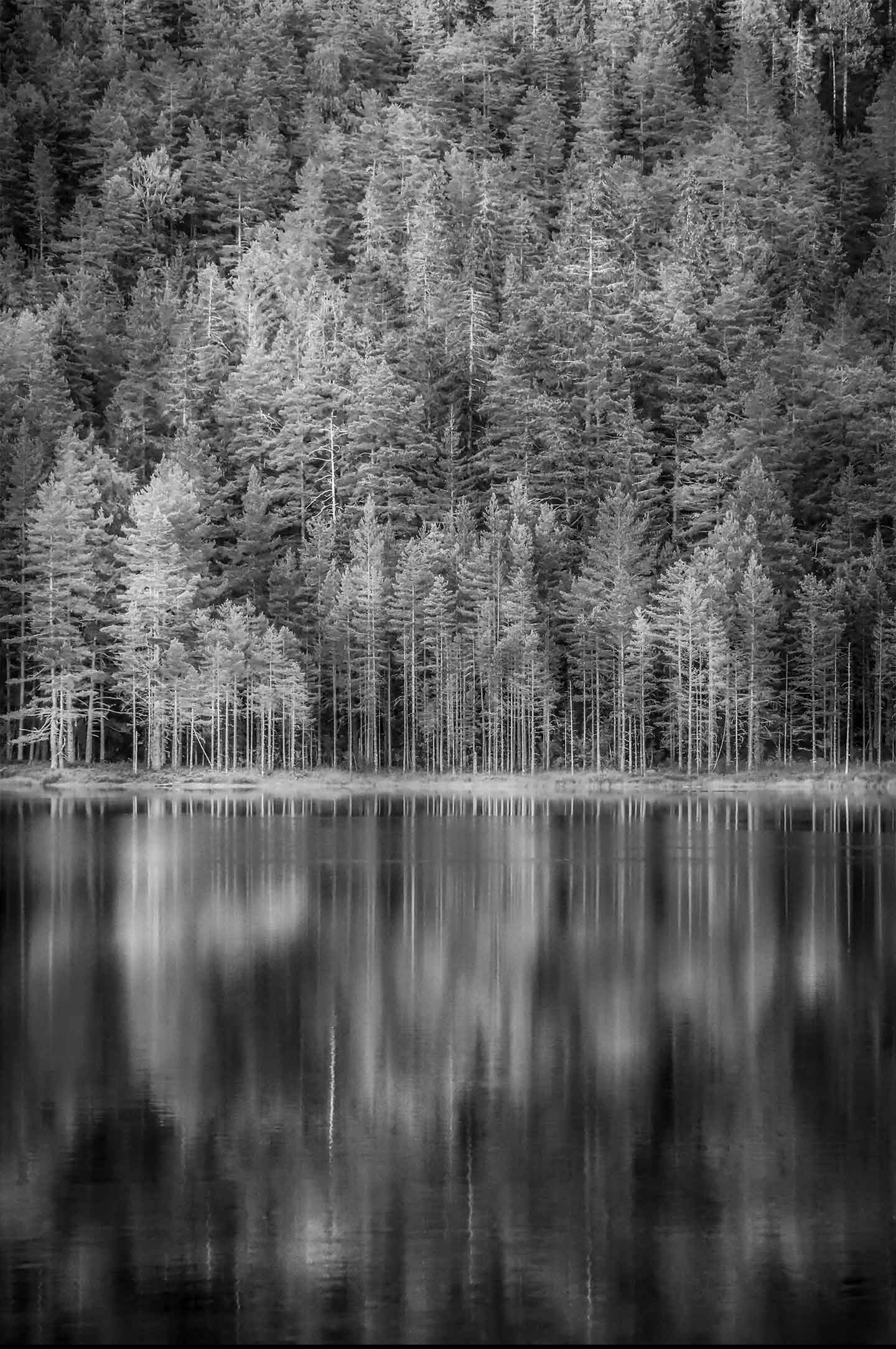 Unikt kunstværk "Norwegian Woods" af Kenneth Bagge