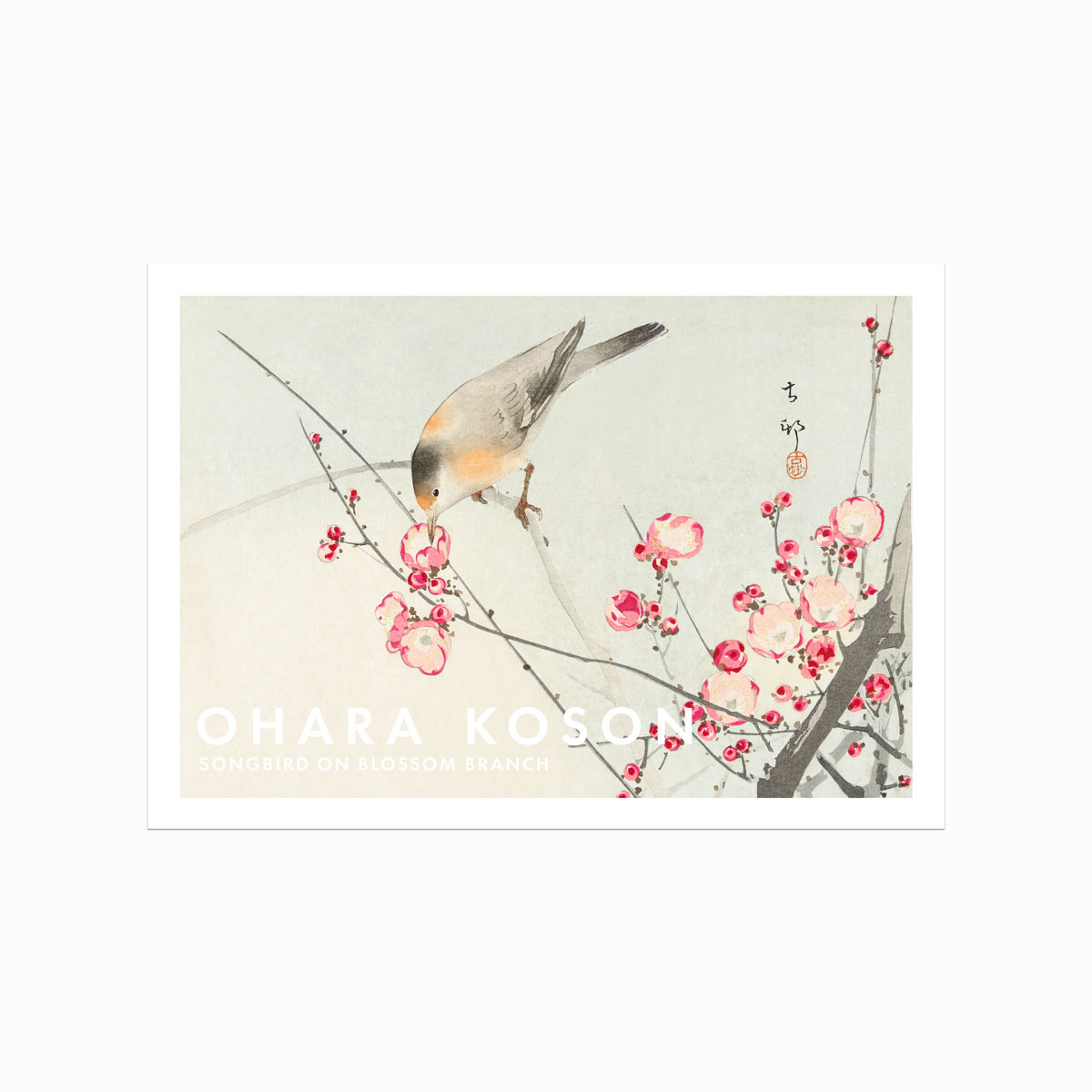Ohara Koson Plakat  Songbird   Blossom Branch