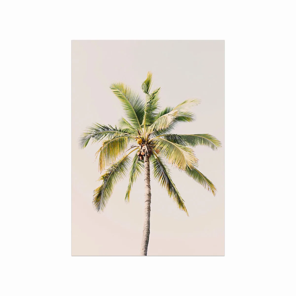 Smuk blomsterplakat – Palm I til hjemmet på tilbud!